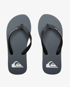 Infradito Molokai Core Quiksilver grigie da uomo con fascia a 3 punti e logo sulla soletta.