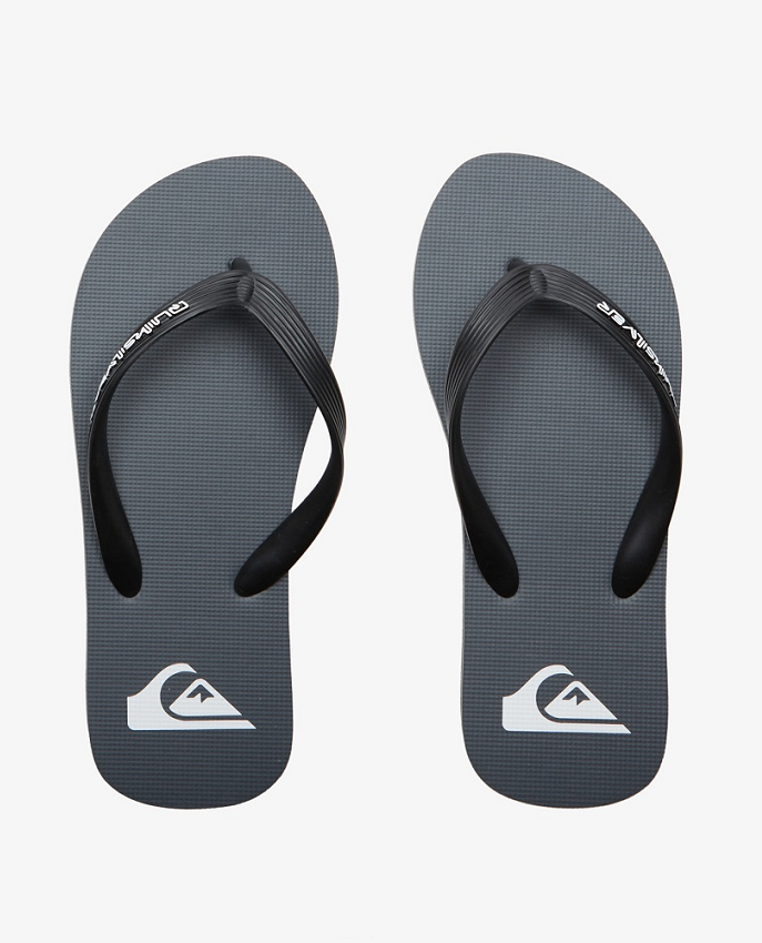 Infradito Molokai Core Quiksilver grigie da uomo con fascia a 3 punti e logo sulla soletta.