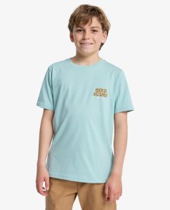 Maglietta Fruits Tide Quiksilver da ragazzo con serigrafia su petto e schiena.