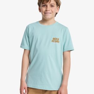 Maglietta Fruits Tide Quiksilver da ragazzo con serigrafia su petto e schiena.