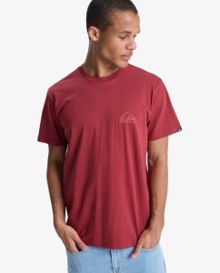 Maglietta Ev Mini Logo Quiksilver burnt russet da uomo con mini logo sul petto e girocollo.