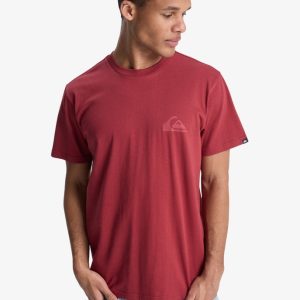 Maglietta Ev Mini Logo Quiksilver burnt russet da uomo con mini logo sul petto e girocollo.