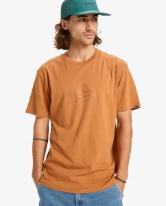 Maglietta Ev Comp Logo Quiksilver almond da uomo con serigrafia sul petto e girocollo.