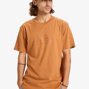 Maglietta Ev Comp Logo Quiksilver almond da uomo con serigrafia sul petto e girocollo.